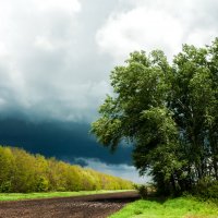 Перед грозой. :: Николай Симусёв