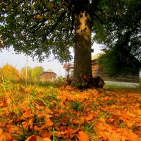 Осень в деревне... :: Милагрос Экспосито