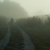 Бабка в тумане :: Виктор Гузеев
