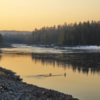 ... :: Александр Рождественский