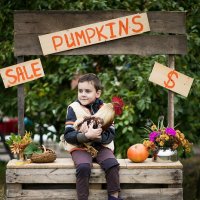 Pumpkins sale :: Катерина Бычкова