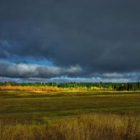 Осеннее настроение :: Валерий Талашов