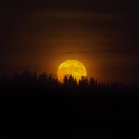 Восход луны. :: Георгий 