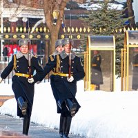 Почетный караул :: Александр Запылёнов