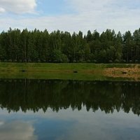 Лес в озере :: Сергей М