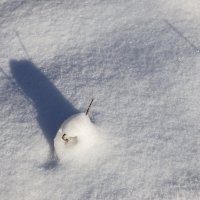 Снег :: Кирилл Богомазов
