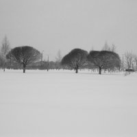 Зимний пейзаж :: Наталья Цуран