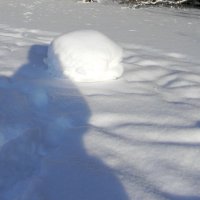 волшебство на снегу :: Alexandr 