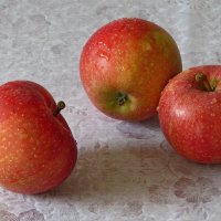 Просто красивые яблоки :: Татьяна Смоляниченко