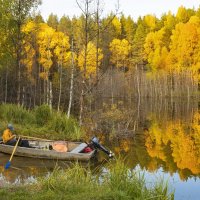Золотая осень на озере Чваниха :: Галина Новинская