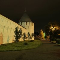 Ночь у Серпуховского монастыря :: Татьяна Мурзенко