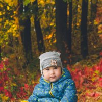 Малыш в осеннем лесу :: Вячеслав 