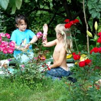 Игры в летнем саду среди цветов :: ГЕНРИХ 