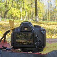 Photographing in the autumn park :: Helga Fluey