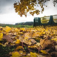 Осень на хуторе! :: Артур Криштофик