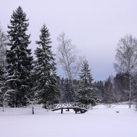 Зимний пейзаж... :: Наташа *****
