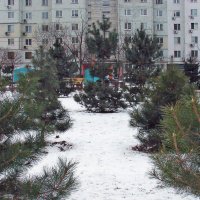 Тихая украинская зима. :: Валерий 