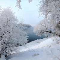 Волшебство зимы :: Андрей Снегерёв
