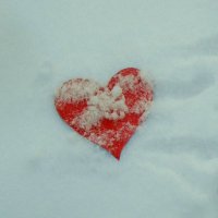 Сердце на снегу :: Игорь Матвеев 