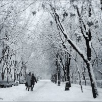 Про далёкую зиму :: Валерий Готлиб