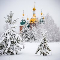 Снежное настроение :: Виктор Садырин