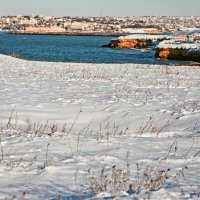 Зимний Херсонес :: Ольга Мальцева