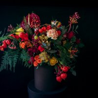 Цветы :: Вероника Гергерт