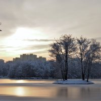 Фрагмент зимы в городе :: Leonid Voropaev