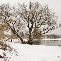 ..снегом покрыты берега Борисовских прудов... :: galalog galalog