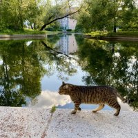 Летний вечер в Юсуповском саду :: Vilma ---