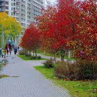 ..осень в городе.. :: galalog galalog