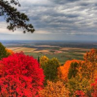 В красках осени :: Александр Жирный