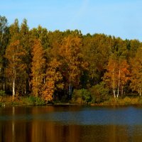 Краски осени :: ГПОУ ПСТ Фотокружок