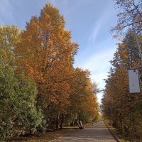 Городская осень :: Наталья 