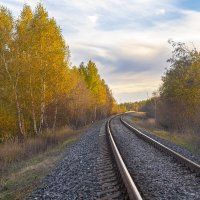 Осенний день :: Любовь Перевозникова