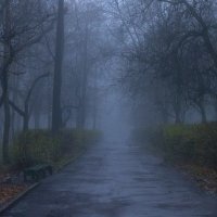 [Осенний туман] :: Антон 