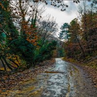 Осенняя дорога в горы. :: yurikov 