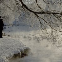 Берендеево царство. Зимний пруд :: Василий Ахатов