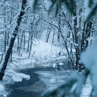 Первый снег :: Анастасия 