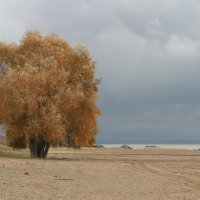 В одиночестве :: Александр Шаблинский