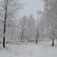 Особенно снежная зима :: Артем Токарев