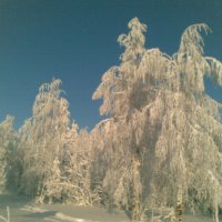 Зима в "городе" :: Елена Меркушева