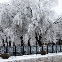 Волгоград, декабрь. :: Павел Чернов