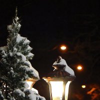 ...рождественский фонарь... :: Александр Садовский