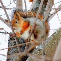 ... :: Андрей Куприянов