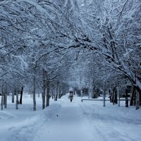 Суровая зима :: OlgaOS Pirogova