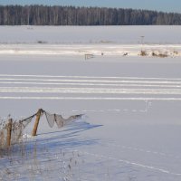 зимняя рыбалка :: Денис Шевчук