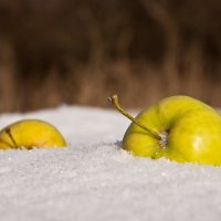 Зимние яблоки :: Артем Шлычков