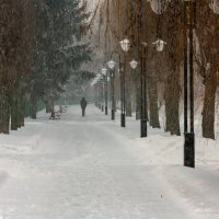 Крещенский снегопад. :: Андрей Закоморный