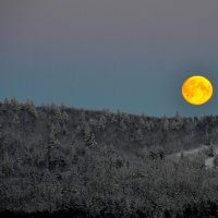 Луна северных широт... :: Александр Кокоулин